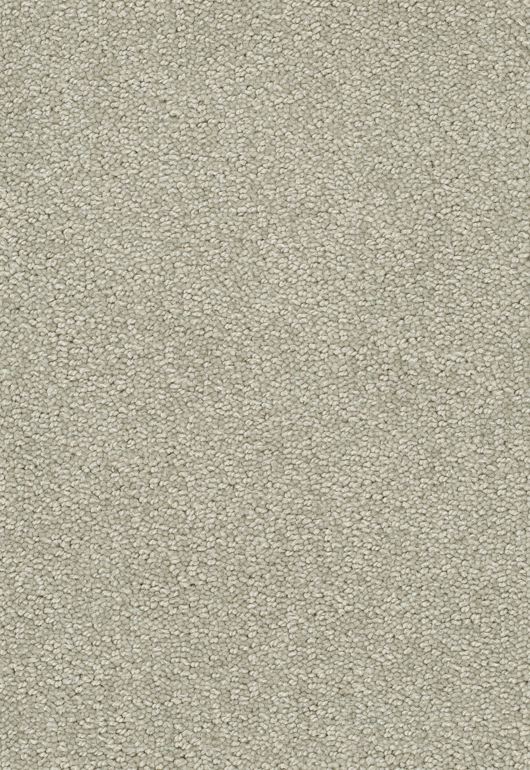 Teppichboden TANGO 400cm Trend 23 Farbe 122