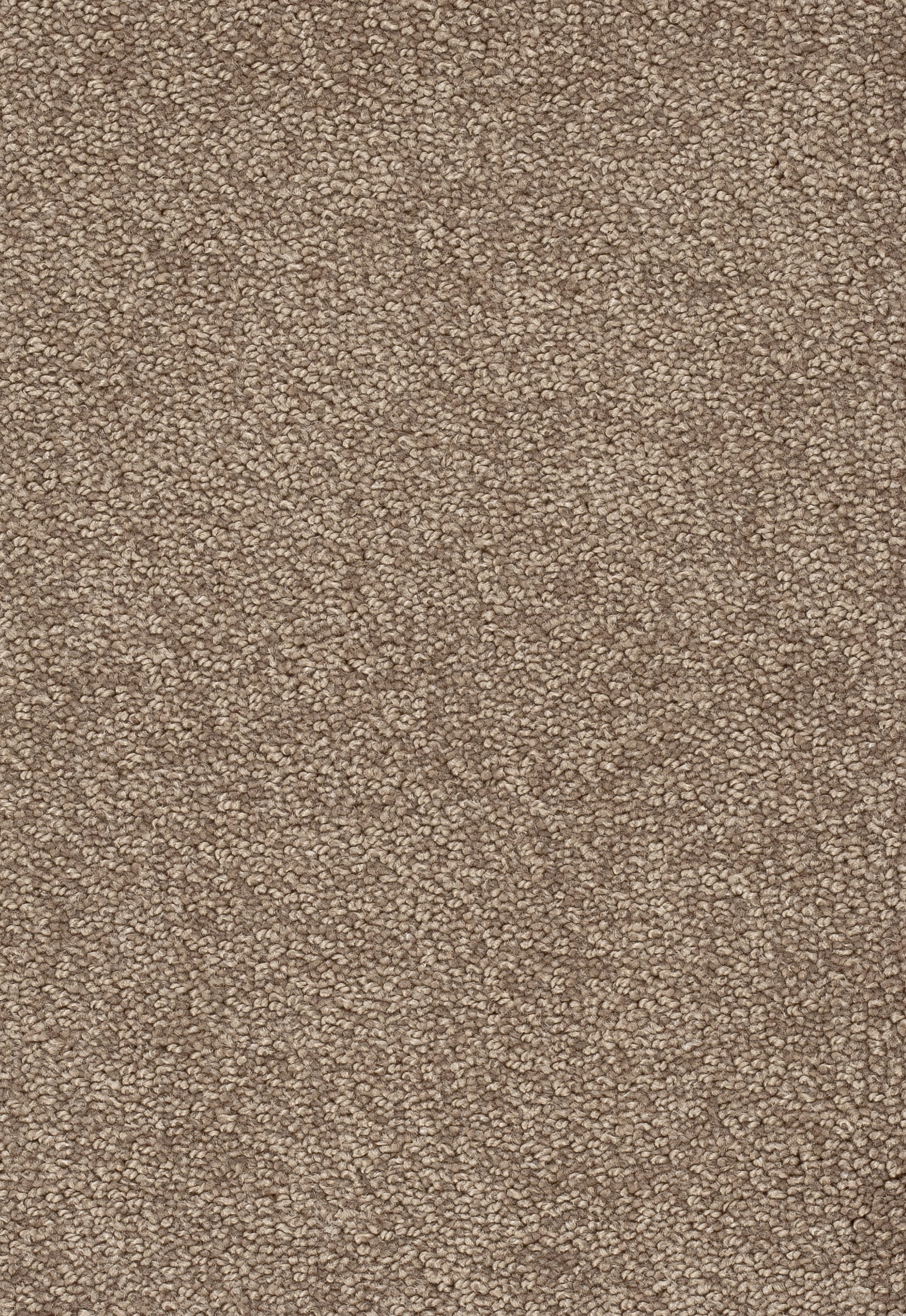 Teppichboden TANGO 400cm Trend 23 Farbe 135