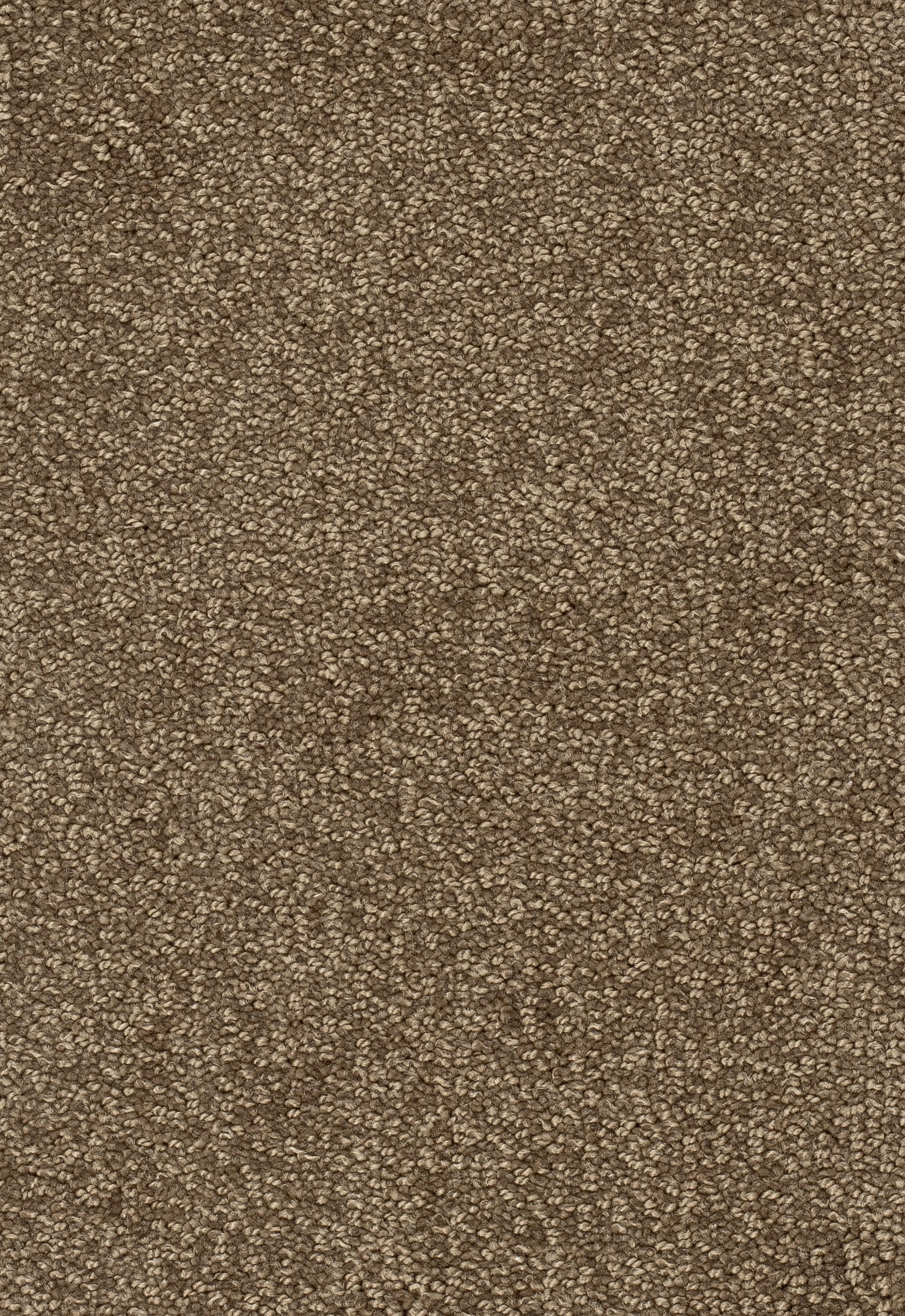 Teppichboden TANGO 400cm Trend 23 Farbe 143