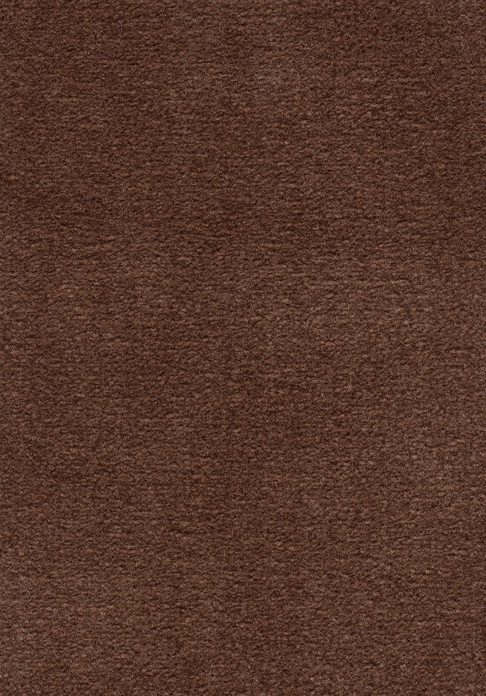 Teppichboden TRITON 400cm Trend 23 Farbe 47