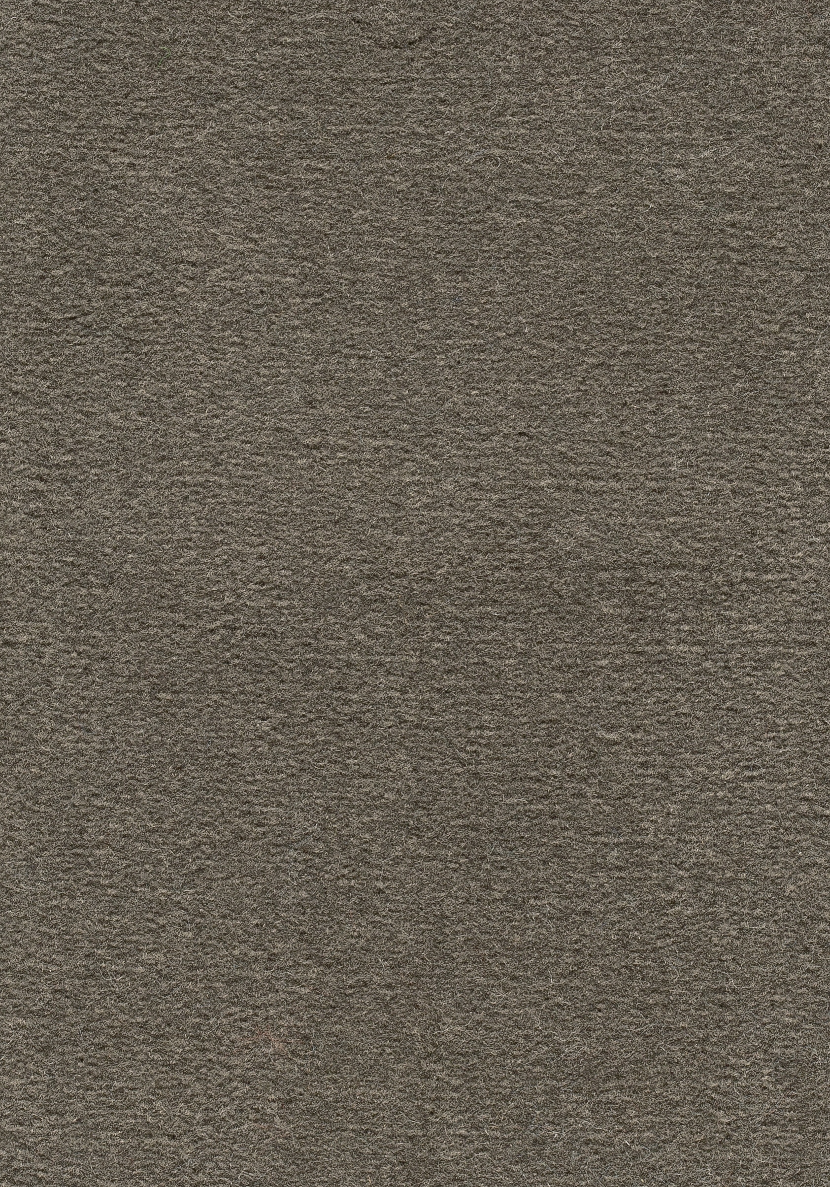 Teppichboden TRITON 400cm Trend 23 Farbe 49