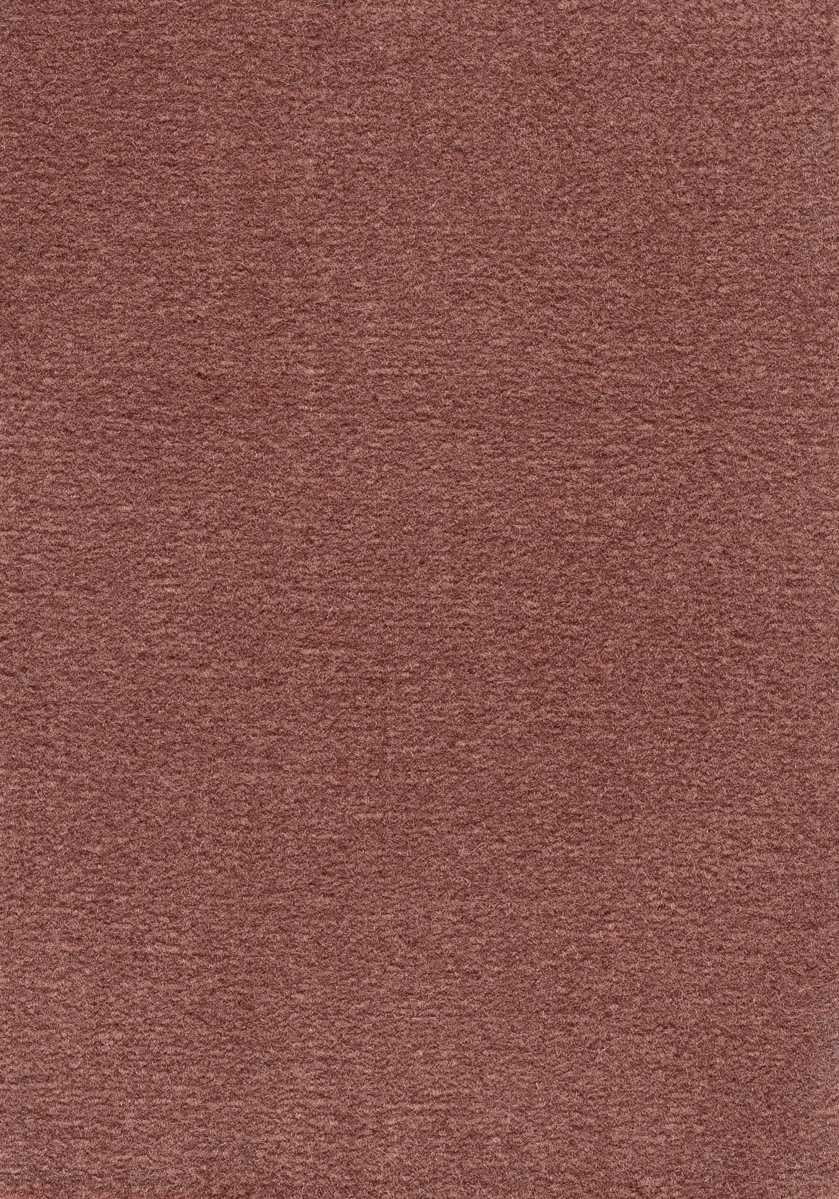 Teppichboden TRITON 400cm Trend 23 Farbe 64
