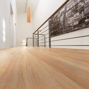 Enia NAUDERS beech