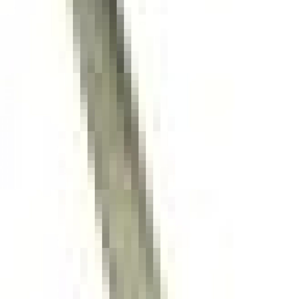 Kuhfuß Nageleisen 250 mm