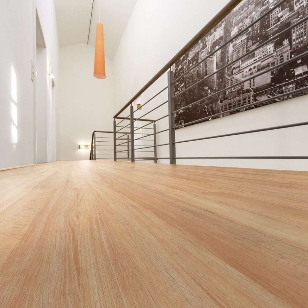 Enia NAUDERS beech