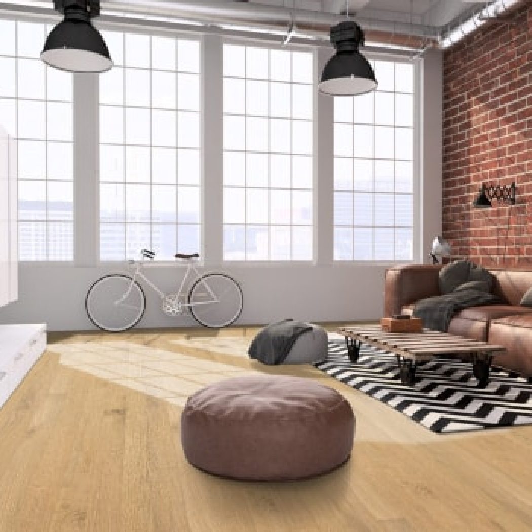 einzA Exklusiv Design Leipzig Dryback