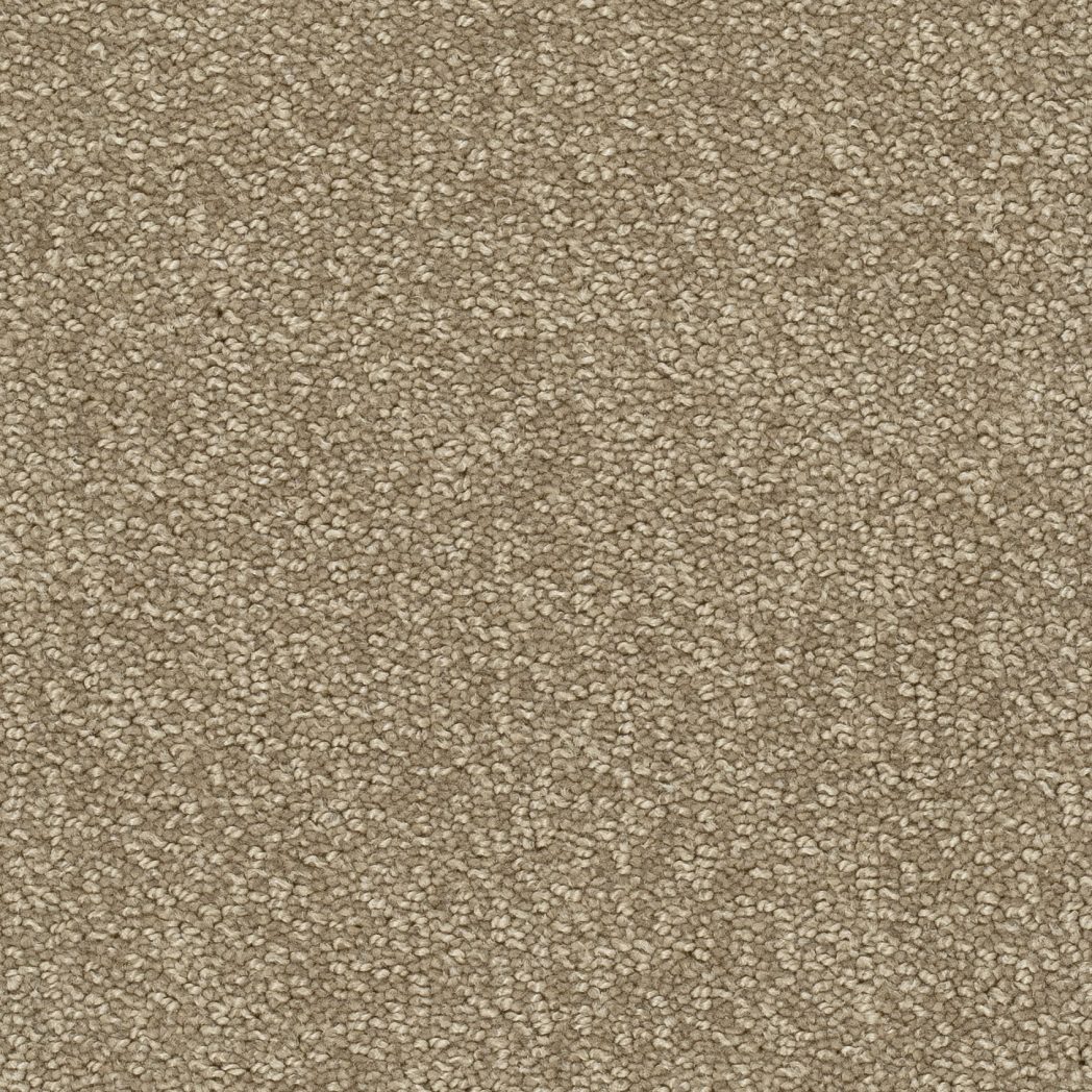 Teppichboden TANGO 400cm Trend 23 Farbe 123