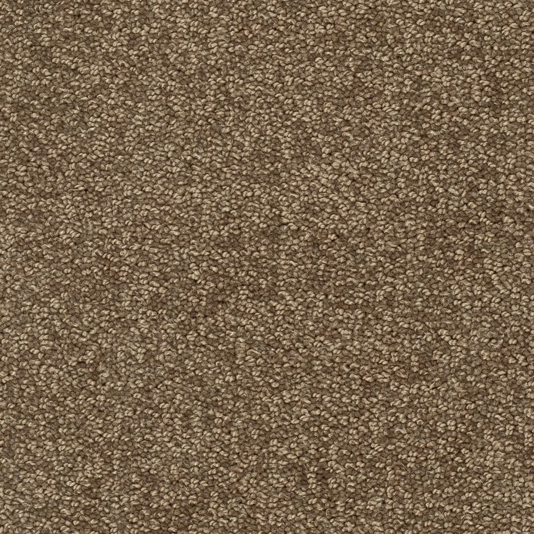 Teppichboden TANGO 400cm Trend 23 Farbe 143