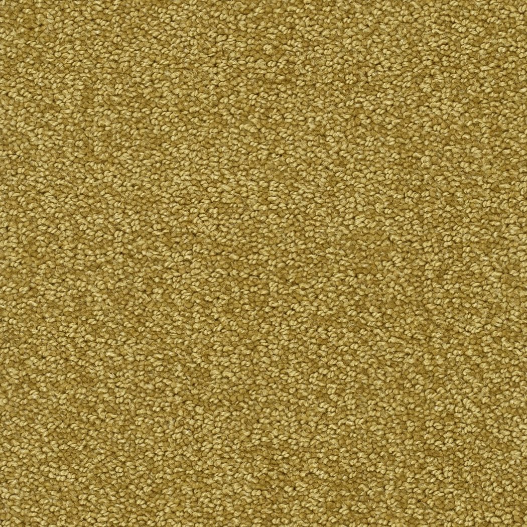 Teppichboden TANGO 400cm Trend 23 Farbe 153